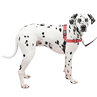 PetSafe® Deluxe Easy Walk® Dog Harness, No Pull Harness, Stop Pulling, Great For Walking and Training, Comfortable Padding, For Large Dogs - Rose, Large