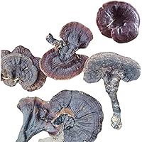 Dried Purple Ganoderma lucidum/Reishi/LINGZHI Wild Dabie Mountains 250 Grams
