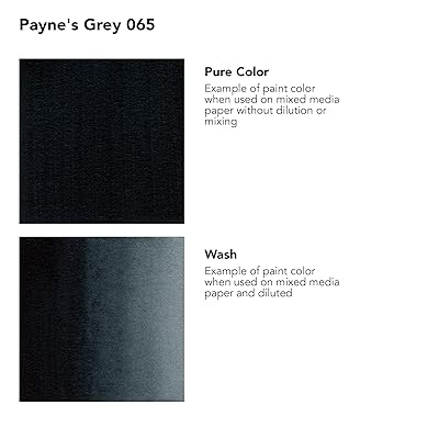 Daler-Rowney FW Acrylic Ink Bottle Paynes Grey - Versatile Acrylic Drawing  Ink for Artists and Students - Permanent Calligraphy Ink - Archival Ink for  Illustrating and More