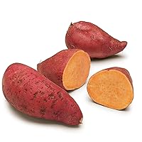 QAUZUY GARDEN 100 Premium Sweetpotato Sweet Potato Seeds for Planting, Nutrition & Delicious, Good for Skin & Hair, Non-GMO Heirloom Vegetable Seed to Plant Garden Outdoor