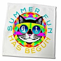 3dRose Summer fun has begun text and funny cat in sunglasses gift or charm - Towels (twl-379353)