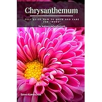 Chrysanthemum: Full Guide How tо Grow аnd Care for “Mums”