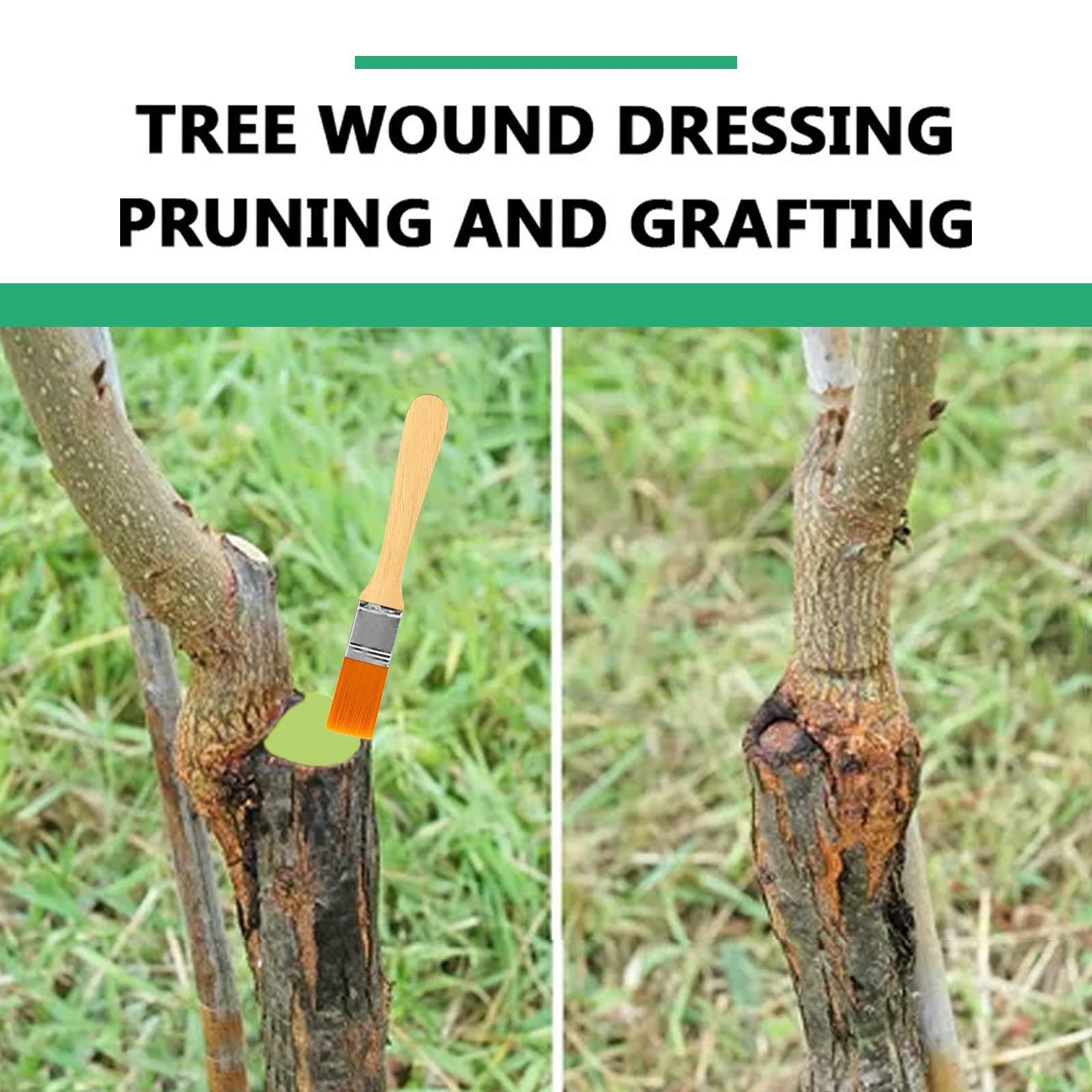 Tree Wound Pruning Sealer, Tree Wound Dressing with Brush, Tree Wound Sealer Healing Paste,Quick Recovery of Tree and Bonsai (1 PCS)