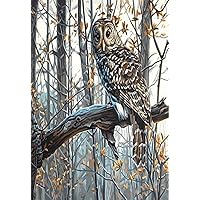 Dimensions 73-91428 Wise Owl Paint by Numbers for Adults, 14'' W x 11'' L