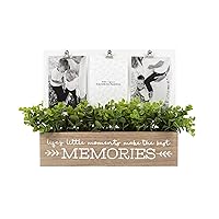 Prinz 3-Opening Life's Little Memories Faux Eucalyptus Planter Clip Frame Collage in Brown, Holds (3) 4x6 Photos