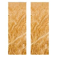 Microfiber Exercise Fitness Home Gyms Towels 2 Pack Sport Sweat Towel Soft Fast Drying for Hotel Bathroom Kitchen Pool Golden Wheat Scene