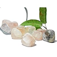 Tumble Polished Lodolite Phantom Quartz 3 pieces Polished Natural Healing Reiki Crystal Chakra Balancing Vastu Stone Meditation & Decoration