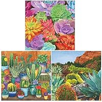 Succulent Party Napkins Variety Pack | 3 Packs of 20CT Beverage Napkins in 3 Colorful Southwestern Desert Cactus Designs