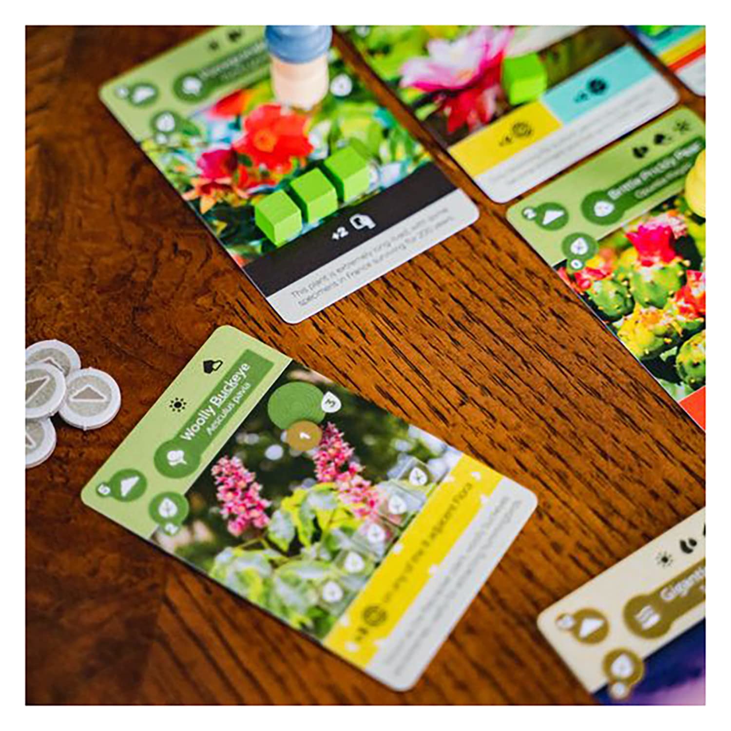 Earth - The Board Game by Inside Up Games & Maxime Tardif, Ecosystem Building, Card Drafting & Action Selecting, for 1 to 5 Players, Play Solo-Multiplayer-Teams, 45-90 Minute Playing Time