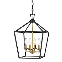 Trans Globe Lighting Lacey 4-Light Cage Pendant, Black/Antique Gold, 10264 BK/AG
