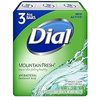 Dial Mountain Fresh Antibacterial Deodorant Soap 4.5 ounces each 3-Count (2 Pack)