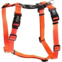 Blue-9 Buckle-Neck Balance Harness, Fully Customizable Fit No-Pull Harness, Ideal for Dog Training and Obedience, Made in The USA, Orange, X-Small