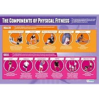 Daydream Education Components of Physical Fitness Poster - Laminated - LARGE FORMAT 33” x 23.5” - Physical Education Classroom Decoration - Bulletin Banner Charts