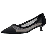 Women See Through Mesh Sexy High Heels Pointed Toe Office Kitten Heels Formal Dressy Pump Shoes