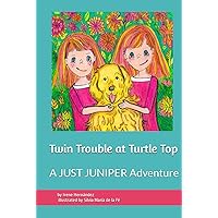 Twin Trouble at Turtle Top: A JUST JUNIPER Adventure (JUST JUNIPER ADVENTURES - Chapter Books Series)