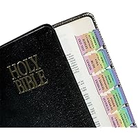 Tabbies Rainbow Bible Indexing Tabs, Old & New Testaments, 80 Tabs Including 64 Books & 16 Reference Tabs, Multi-Colored (58346), Rainbow Colored