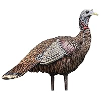 AVIAN-X LCD Lookout Hen Turkey Decoy | Durable Realistic Lifelike Collapsible Standing Hunting Decoy with Carry Bag & Stake, AVX8006