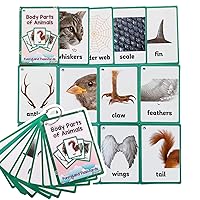 12PCS/Set Animals Body Parts Kids Gifts English Flash Cards Pocket Card Educational Learning Baby Toys for Children Pre-Kindergarten