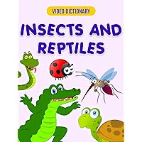 Insects & Reptiles - Video Dictionary