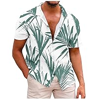 Big and Tall Men's Hawaiian Shirts 2024 Summer Tropical Casual Funky Aloha Shirt Y2K Novelty 3D Pattern Beach Tops