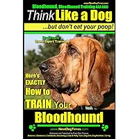 Bloodhound, Bloodhound Training AAA AKC: | Think Like a Dog, but Don’t Eat Your Poop! | Bloodhound Breed Expert Training |: Here’s EXACTLY How to Train Your Bloodhound Bloodhound, Bloodhound Training AAA AKC: | Think Like a Dog, but Don’t Eat Your Poop! | Bloodhound Breed Expert Training |: Here’s EXACTLY How to Train Your Bloodhound Paperback Kindle