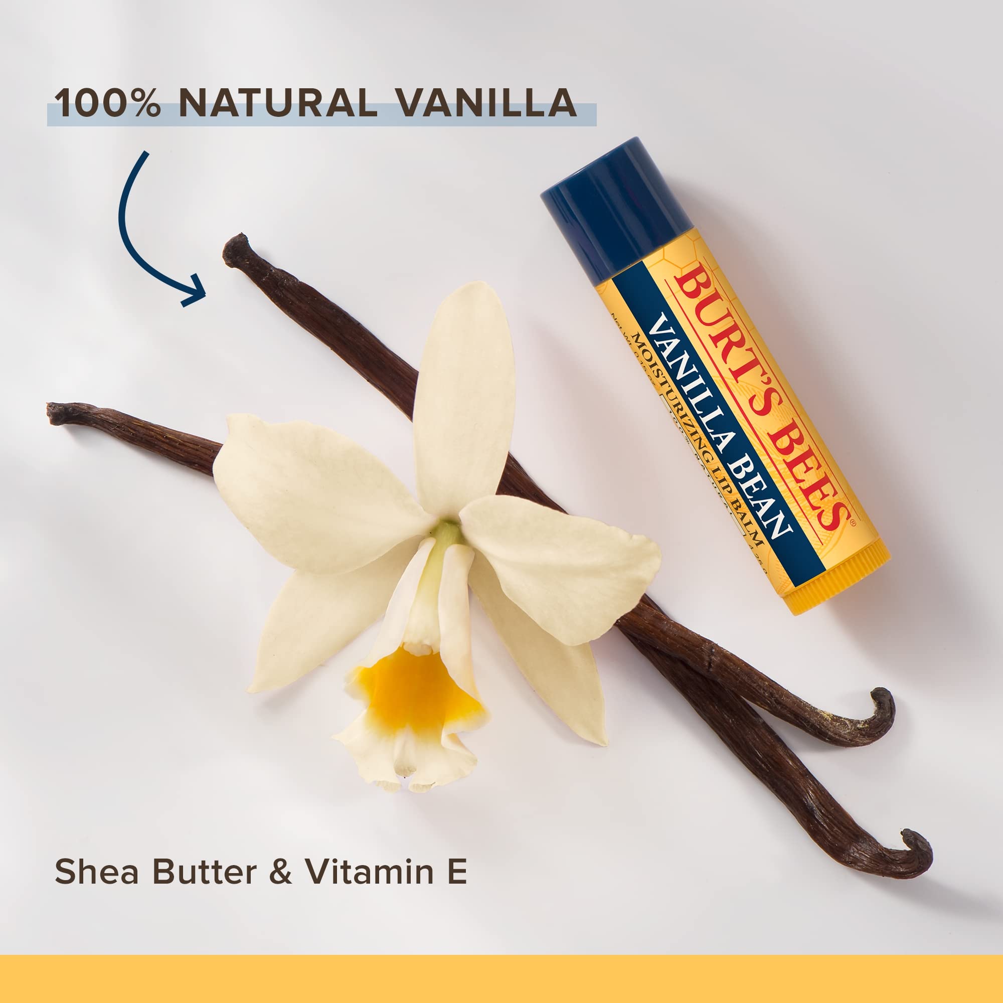 Burt's Bees Lip Balm, Moisturizing Lip Care, for All Day Hydration, 100% Natural, Vanilla Bean (2 Pack)