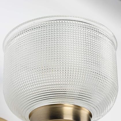 Progress Lighting Archie Collection 2-Light Clear Double Prismatic Glass Coastal Bath Vanity Light Vintage Brass, 8-3/4