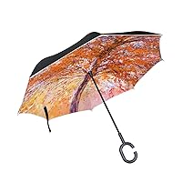 My Daily Double Layer Inverted Umbrella Cars Reverse Umbrella Red Autumn Tree Oil Painting Windproof UV Proof Travel Outdoor Umbrella