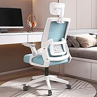 Office Chair Chair Ergonomic, Computer Chair Adjustable Seat Height with Back Support and Arms, Desk Chair Comfy, Study Chair for Home, Office and Executive/B/Size
