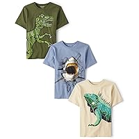 Boys' Assorted Everyday Short Sleeve Graphic T-Shirts,multipacks