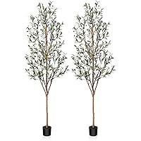 Kazeila Artificial Olive Tree 7FT Tall Faux Silk Plant for Home Office Decor Indoor Fake Potted Tree with Natural Wood Trunk and Lifelike Fruits, 2 Pack