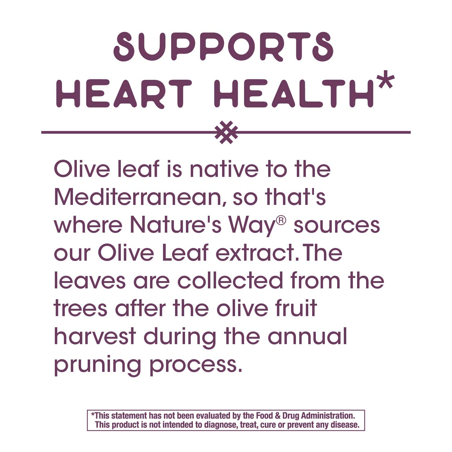 Nature's Way Premium Extract Olive Leaf Supplement, Supports Heart Health*, 250mg Per Serving, 60 Capsules