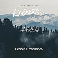 Chill Music To Reduce Stress
