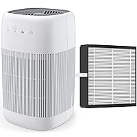 Air Purifier and Dehumidifier 2 in 1, Afloia Q10 HEPA Air Purifier Small Dehumidifier + True H13 HEPA Filter Q10 Air Filter Replacement