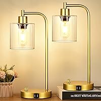 Set of 2 Industrial Table Lamps with 2 USB Port, Gold Fully Stepless Dimmable Lamps for bedrooms, Bedside Nightstand Desk Lamps with Clear Glass Shade for Reading Living Room Office 2 LED Bulb