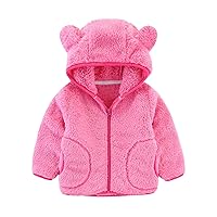 Toddler Girl Boy Fleece Hooded Zip Up Jacket Kid Teddy Coat with Ear Winter Thick Warm Cardigan Sweatshirt Tops Outwear