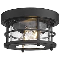 Emliviar 2-Light Round Ceiling Light Fixture, Farmhouse Flush Mount Ceiling Light 10 Inch, Black Finish, WE2085F BK