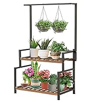 Hanging Plant Stand Indoor 2-Tier Plant Shelves with Bar, Plant Rack Flower Pot Organizer Outdoor Shelf for Multiple Plants, Wood Plants Shelf with Metal Frame for Garden Balcony Patio Bedroom Office