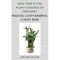 HOW TRUE IS THIS PLANT SOURCE OF FORTUNE?: Magical Lucky bamboo, A must read