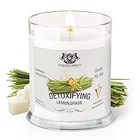 Gerrard Larriett - Deodorizing Soy Candles for Pets, Scented Candles for Removing Pet/Household Odors, Lasts up to 40 Hours, White Candles for Home Scented with Detoxifying Lemongrass Fragrance, 10 oz