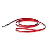 PetSafe Nylon Dog Leash - Strong, Durable, Traditional Style Leash with Easy to Use Bolt Snap - 3/8 in. x 6 ft., Red
