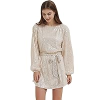 Anna-Kaci Women's Sparkly Sequins Party Long Sleeve Crew Neck Elegant Loose Dress, Champagne, X-Large