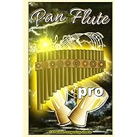 Pan Flute pro, 6 x 9 inch, 120 pages, music sheets, gifts for musicians, blank music notebook, music accessories, For beginners & advanced composers
