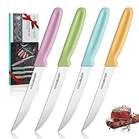 HAUSHOF Steak Knives Set of 4, Serrated Steak Knives, Premium Stainless Steel Steak Knife Set with Gift Box, Gifts Knife Set for Mom, Dad, Wife and Husband，Assorted Color