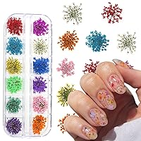 12Color 3D Dried Flowers Nail Stickers - Colorful Dry Flower for Nails Supplies Flower Petals Nail Decals Real Natural Floral Dried Sticker Designs DIY Manicure Accessories Making Handmade Decoration