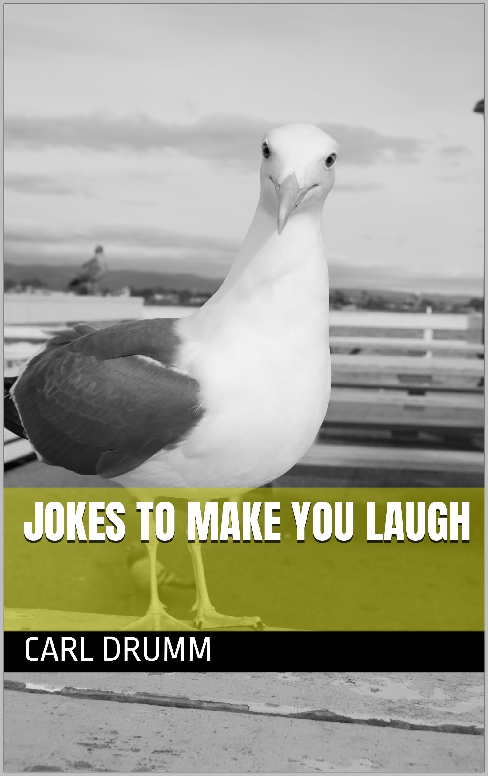 Jokes To Make You Laugh