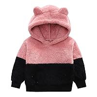 Kids Sweatsuit Kids Baby Girls Boys Fleece Thick Warm Hooded Outdoor Warm Pullover Tops Sweatshirts Gang Hoodie for Boys