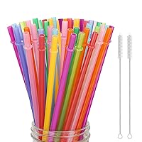 Rainbow Colored Replacement Acrylic Straw Set of 10 /With Cleaning Brush 