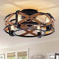EKIZNSN Caged Low Profile Ceiling Fans with Lights, 20'' Bladeless Ceiling Fan with Light Flush Mount, Black (5*E26 Bulb Include)
