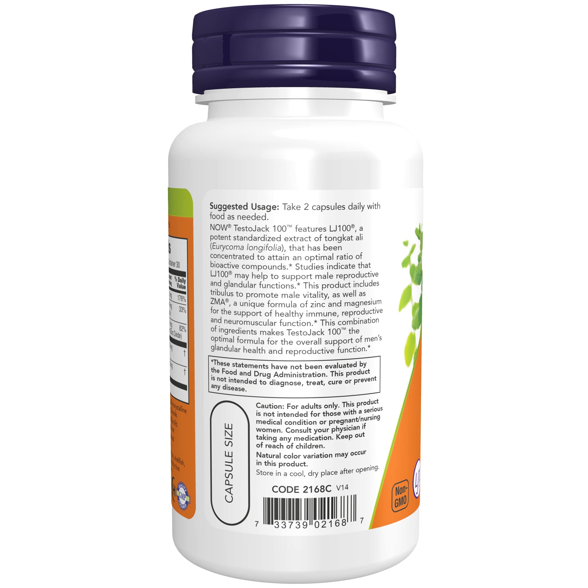 NOW Supplements, TestoJack™ 100 with LJ100®, a Potent standardized Extract of Tongkat Ali (Eurycoma longifolia), Tribulus and ZMA®, 60 Veg Capsules (Pack of 2)